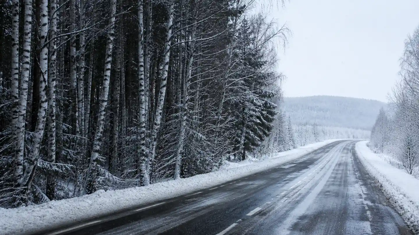 Nokian Snowproof 1 na odśnieżonej drodze przez brzozowy las po świeżym opadzie - Nokian Snowproof 1 na śnieg, slush i deszczową zimę