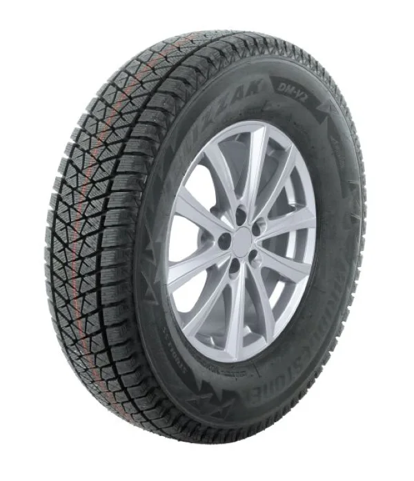 BRIDGESTONE DM-V2