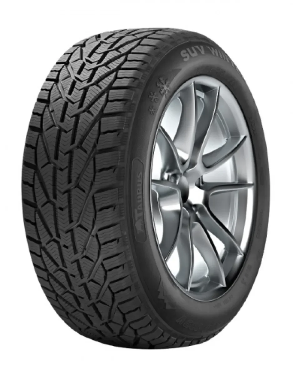 TAURUS SUV WINTER