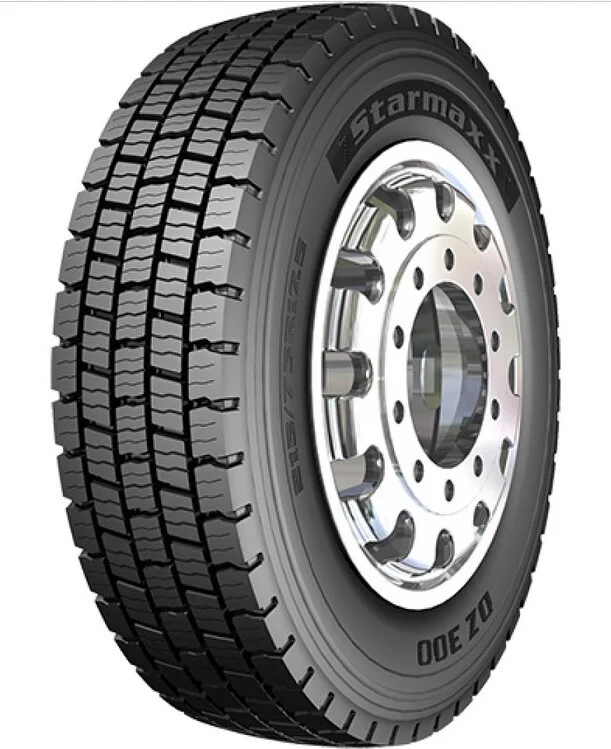 STARMAXX DZ300