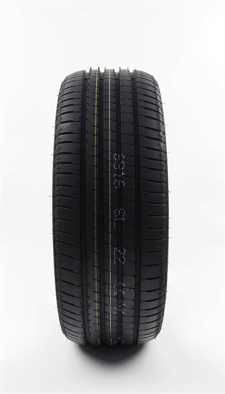 LASSA COMPETUS H/P 2
